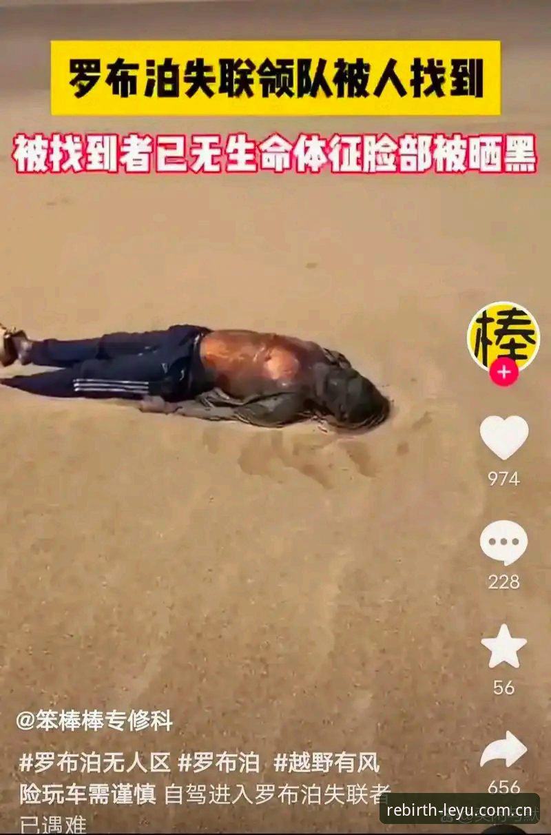 亲身实测：乐鱼中国安装失败后，我换了个思路，顺利用上了v2.0.5版